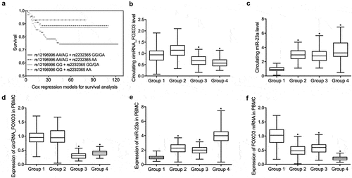 Figure 1. Differential expression of circRNA_FOXO3, miR-23a and FOXO3 mRNA in the peripheral blood of patients with ICU-acquired sepsis (one-way ANOVA and Tukey’s test, * P value < 0.05 vs. Group 1).