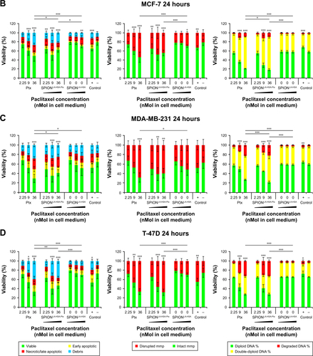 Figure S2 Viability of breast cancer cells 24 hours after Ptx treatment.Notes: (A) BT-474, (B) MCF-7, (C) MDA-MB-231, and (D) T-47D cells were incubated for 24 hours with increasing amounts of free Ptx, SPIONLA-HSA-Ptx, and SPIONLA-HSA and analyzed by multiparameter flow cytometry. Viability was determined by AxV–FITC and PI staining (first column), yielding the percentage of viable (Ax− PI−), apoptotic (Ax+ PI−), and necrotic (PI+) cells. The status of the mitochondrial membrane potential was analyzed by DiIC1(5) staining and distinguished cells with intact (DiIC1(5) positive) and depolarized (DiIC1(5) negative) membranes (middle column). DNA degradation and cell cycle were determined by PIT staining and showed the amount of degraded DNA, diploid DNA (G1 phase), and double-diploid DNA (synthesis/G2 phase) (last column). Positive controls contain 2% DMSO, and negative controls represent the corresponding amount of solvent instead of drug or ferrofluid. Data are expressed as the mean ± SD (n=4 with technical triplicates). Statistical significance of viability, intact membrane potential, and diploid DNA content between control and samples are indicated with *P<0.01, **P<0.001, and ***P<0.0001, and were calculated via Student’s t-test analysis.Abbreviations: AxV, Annexin A5; DiIC1(5), 1,1′,3,3,3′,3′-hexamethylindodicarbocyanine iodide; DMSO, dimethyl sulfoxide; FITC, fluorescein isothiocyanate; MMP, mitochondrial membrane potential; PI, propidium iodide; PIT, propidium iodide–Triton X-100; Ptx, paclitaxel; SPION, superparamagnetic iron oxide nanoparticles; SPIONLA-HSA, lauric acid- and human serum albumin-coated SPIONs; SPIONLA-HSA-Ptx, SPIONLA-HSA functionalized with paclitaxel.