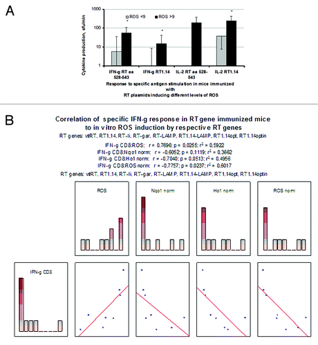 Figure 6. In vitro tests predicting the capacity of the RT gene variants to induce IFN-γ response in mice, based on total ROS production and ROS production normalized to the protein content per expressing cell. The average specific IFN-γ and IL-2 production by the splenocytes of mice immunized with “high ROS” (ROS > 9) and “low ROS” (ROS < 9) RT gene variants after the in vitro stimulation with the recombinant RT1.14 and with the peptide representing aa 528–543 of RT (A). Correlation of IFN-γ production by splenocytes stimulated in vitro with RT aa 528–543 to the total ROS production (B) and to the normalized levels of ROS (C), and HO-1 mRNA (D). Analysis was done by the Spearman rank-order test using Statistica AXA 10.1.