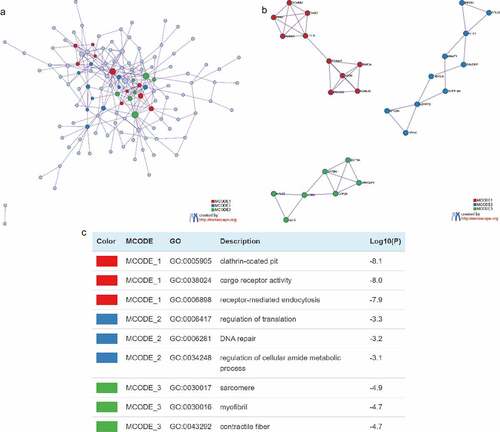 Figure 4. Construction of Protein-protein Interactions (PPI) network. (a) PPI network of target genes. (b) PPI network for each MCODE. (c) GO enrichment analysis was applied to each MCODE network to assign ‘meanings’ to the network components, with the top 3 best P-value terms retained