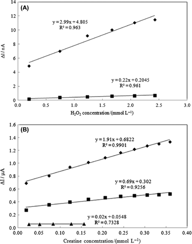 Figure 2. (A) Calibration curves for H2O2: (■) UCPE, (♦) Fe3O4−CPE. (B) Calibration curves for creatine: (■) UCPEE, (♦) Fe3O4−CPEE (oxygen saturated solution), (▲) Fe3O4−CPEE (nitrogen saturated solution) (0.05 mol L−1 pH 7.0, phosphate buffer, + 0.30 V).