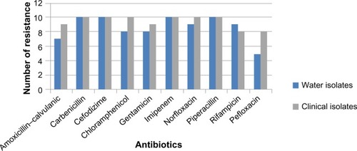 Figure 4 Number of E. coli isolates resistant for antimicrobial agents.