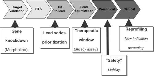 Figure 1 Utility of zebrafish in a screening and drug discovery strategy. Flow diagram showing where zebrafish can aid the drug development and discovery process but either increasing throughput or assessing candidate compounds more economically.