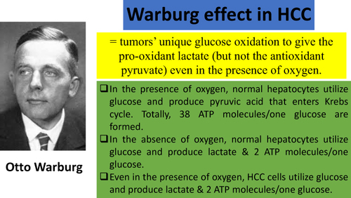 Figure 1 HCC cells exhibit the Warburg effect.