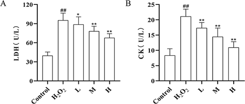 Figure 12 Effect of CRC-CDs on cardiac myosin levels in supernatants of H2O2-induced H9c2 cells. (A) LDH levels in the supernatant. (B) CK levels in the supernatant. Date are represented as means ± SD (n = 6). ##P < 0.01 compared with the control group, **P < 0.01 and *P < 0.05 compared with the model group.