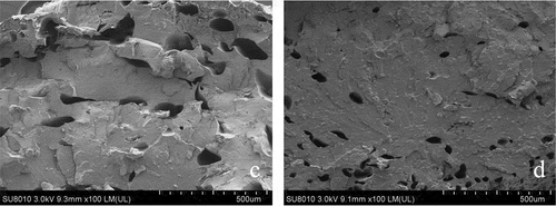 Figure 8. The sections of SBR with none (c) and 15 wt.% (d) CS content.