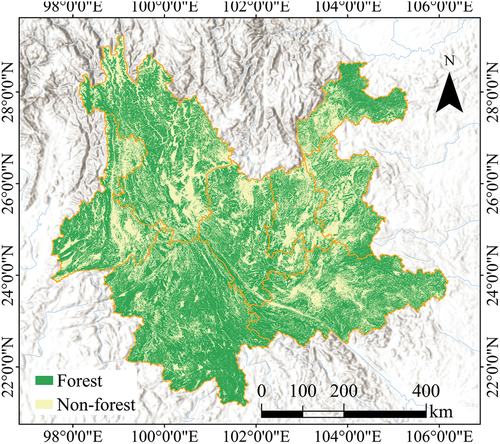 Figure 7. Forest/non-forest classification result of Yunnan province.