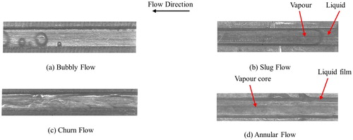 Figure 4. Definition of the observed flow patterns in the current study. (a) Bubbly flow, (b) Slug flow, (c) Churn flow, and (d) Annular flow.