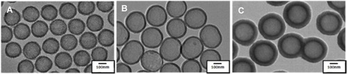 Figure 1 Transmission electron microscopy images of various diameters of ZrO2 in 5% glucose solution. The well-defined size and shape of 100 (A), 100 (B), and 200 nm (C) ZrO2 nanoparticles (NPs) allowed for good monodispersity in 5% glucose solution. The scale bar is 100 nm.