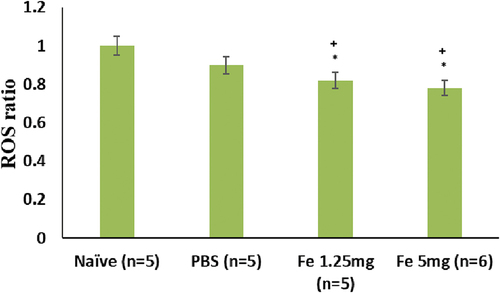 Figure 11. Chemiluminescence approach showing the suppression of ROS production after paw injection with Fe2O3 NPs.