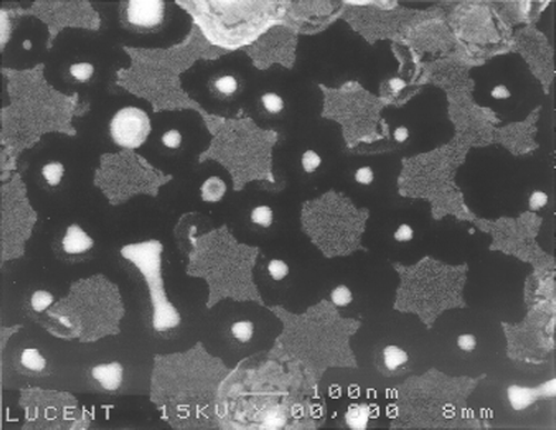 Figure 7. Subsequent gold deposition on the sample shown in figure 5, followed by organic layers removal to form an array of star-shaped nanostructures within the original gold-dot array. Scale bar = 100 nm.