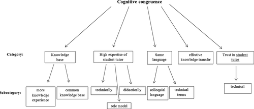 Figure 1. Categories and subcategories found for cognitive congruence based on qualitative analysis.