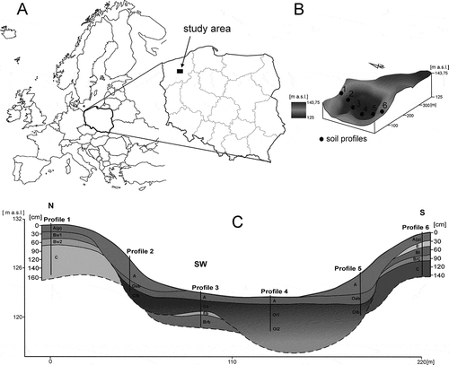Figure 1 The study area: (A) Location, (B) Hipsometry and location of soil profiles, (C) Scheme of soil horizon. a.s.l., above sea level.