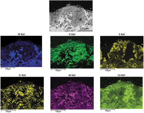 Figure 13. EDX mapping of C1023 salted covered with sodium chloride salt deposits exposed to air + 300 vppm SOx gaseous atmosphere gas for 160 h.