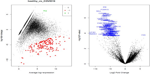 Figure 12. Plotting to view the differentially expressed genes. Left – MDplot; and right – volcano plot.