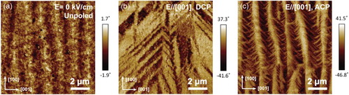 Figure 3. The PFM images of domain morphology for PMN-30%PT in different poling conditions: (a) unpoled (E = 0 kV/cm), (b) using DCP method, (c) using ACP method (1 Hz, 7 cycles). The poling field is 10 kV/cm and along [001] direction. The scanned plane is (010) cross section plane.