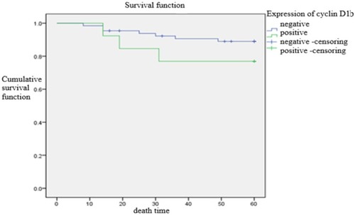 Figure 5 Comparison of time to postoperative death between cyclin D1b-positive and -negative expression group. The short-term recurrence rate showed no statistically significant difference between the two groups (p = 0.230).