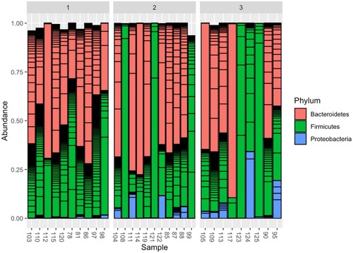 Figure 4. Dynamics of the relative abundance of the 3 most common taxonomic phyla (Bacteroidetes, Firmicutes, Proteobacteria) of the intestinal microbiome before HSCT (samples 1) and after HSCT (samples 2, 3).