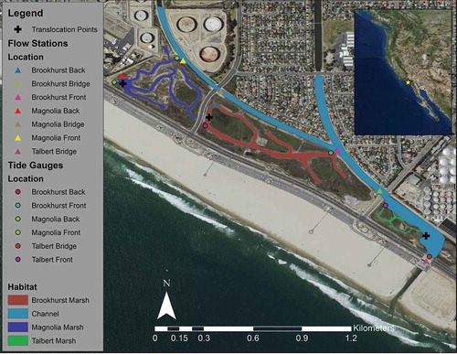 Figure 1. Image of the Huntington Beach Wetlands Complex (HBWC) showing the different marsh and channel habitats.