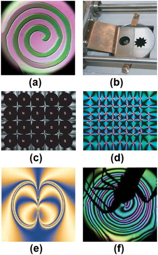 Figure 4. (a) Free-standing film observed by polarising optical microscopy (POM). (b) Frames of different shapes for freely suspended smectic or lyotropic films. (c) Array of magnets and (d) POM image of umbilics stabilised by these magnets. (e) POM image of a nematic dowser texture subject to flow. (f) An unexpected visit in Pawel Pieranski’s lab, reported in Ref. [Citation69]. With kind permission by the respective publisher, the figures are reproduced from the following references: (a), (f) Figure 1 from Ref. [Citation69]. (© EDP Sciences); (b) Figure 4 from Ref. [Citation52]. (© MDPI (Basel, Switzerland)); (c), (d) Figure 22 from Ref. [Citation68]. (© Taylor&Francis); (e) Figure 12 from Ref. [Citation72]. (© EDP Sciences).