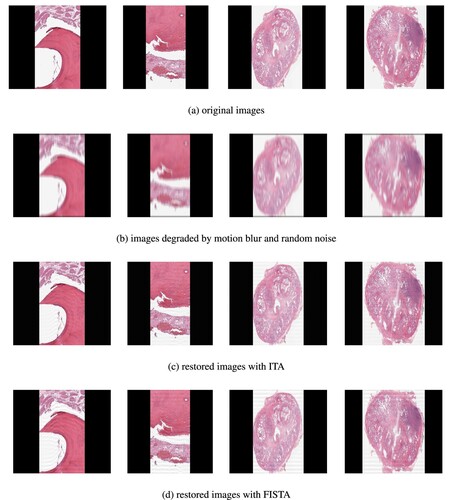 Figure 2. Test images and their restorations via ITA and FISTA using TV-regularizer. (a) original images. (b) images degraded by motion blur and random noise. (c) restored images with ITA and (d) restored images with FISTA.