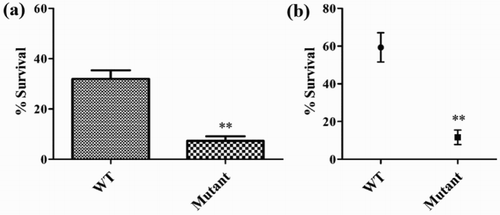 Figure 2. Effect of O-polysaccharide on resistance to egg albumen and serum complement. (a) Survival rates of bacteria exposed to egg albumen at 37°C for 24 h. (b) Survival of the Salmonella Pullorum mutant in 50% chicken serum.