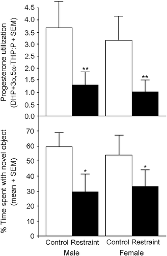 Figure 3.  Juvenile offspring (28–30 days of age; n = 13–14/group) exposed to gestational restraint (45 min thrice daily on prenatal days 17–21; closed bars) have significantly reduced progesterone turnover to its 5α-reduced metabolites in mPFC than do control offspring (open bars) as indicated by the ratio of DHP and 3α,5α-THP to the pro-hormone, progesterone (P; top). As well, gestationally stressed offspring (closed bars) spend significantly less time investigating a novel object in an object recognition task compared to control offspring (open bars) that were exposed to minimal handling (bottom). * indicates significant main effect for restraint-exposed offspring to perform worse on object recognition compared to control offspring. ** indicates significant main effect for restraint-exposed offspring to have reduced progesterone utilization compared to control offspring, p < 0.05.