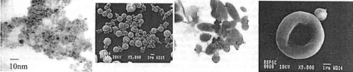 Figure 5. (On leftmost): A electron microscopic TEM image of Fe2O3; (on second left) SEM of albumin microspheres; (on third panel) TEM image of polyethylene coated microspheres; (on rightmost panel): A SEM image of polystyrene coated microsphere (shown with arrow) attached to red blood cell. Redrawn from references Citation1, Citation13.