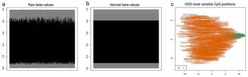 Figure 1. (a) The raw data of beta-values in methylated CpG site. The normalized beta-values of methylation of CpG site.One thousand most variable CpG sites were screened using ‘minfi’package in R software