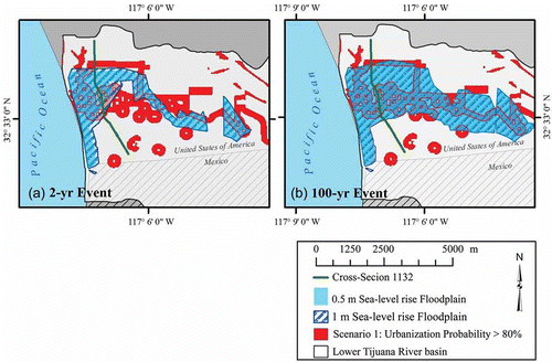 Fig. 11 Flood-zone maps for (a) 2-year peak flow with 0.5- and 1.0-m sea-level rise; and (b) 100-year peak flow with 0.5- and 1.0-m sea-level rise. The areas of land with at least 80% probability of becoming urbanized by 2050 are shown in (a) and (b) in red.