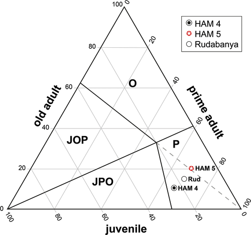 Figure 10. Ternary diagram of the relative age-frequency distributions (mortality) differentiated into the three age groups juvenile, prime adult and old adult individuals (in %) of the small beaver species Euroxenomys minutus (von Meyer Citation1838) from the early Late Miocene localities Hammerschmiede (Bavaria, Germany), including the local stratigraphic levels HAM 5 and HAM 4 and from Rudabánya (Hungary; Data from Kordos Citation2020) based on lower premolars. Calibration of the zoning point corresponds to the relative lifetime distribution of the extant muskrat, Ondatra zibethicus (see text). Abbreviations of zones follow Discamps and Costamagno (Citation2015): JOP, juveniles-old adults-prime adults dominated zone; JPO, juveniles-prime adults-old adults dominated zone; O, old adults dominated zone; P, prime adults dominated zone. All three fossil samples are located in the prime dominated zone.