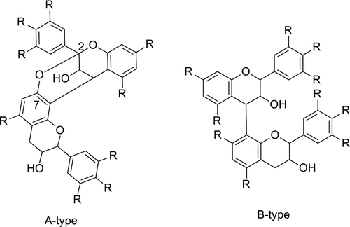 Fig. 5. A-type and B-type of proanthocyanidins (R=H or OH).
