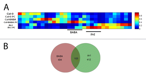 Figure 2. (A) Heat map analysis of the signals extracted from the Kruskal-Wallis test with a P value lower than 0.01 between groups performed with Marvis (Filter and Cluster packages) and (B) Venn diagrams of detected primed signals.