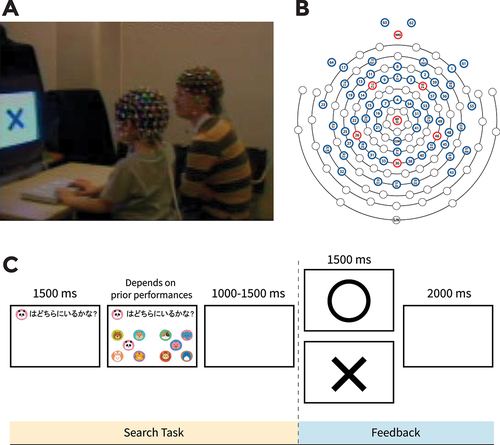 Figure 1. Experimental setting. A) the mother and child sat next to each other in front of a screen and took turns to conduct the visual search task while their brain activity was recorded in a hyperscanning framework. B) EEG signals were collected from 65 electrodes according to the EGI sensor net layout. C) the visual search task started with a question “[animal image] where is it” on top of the screen followed by two groups of options displayed below it on the right or left side of the screen. Participants had to press a left or right button to indicate their response. This was followed by positive (O) or negative (X) feedback.