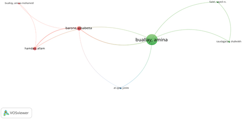 Figure 3. Co-authorship visualization.