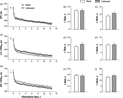 Figure 5. Effects of lidocaine on the rate adaptation of QT interval and action potential duration in LV and RV chamber.