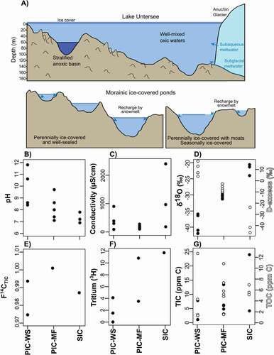 Figure 7. (a) Cross-sectional view of the perennially ice-covered Lake Untersee and the ponds in the Untersee Oasis with their differing ice cover types (i.e., from well-sealed perennial ice cover to moat-forming perennial ice cover and seasonal ice cover). Panels (b-g) indicate the pH, conductivity (uS/cm-1), δ18O, F14CTIC, Tritium (3H), and TIC (ppm C) values of near-surface waters in the ponds as a function of ice cover type. PIC-WS = perennially ice-covered and well-sealed; PIC-MF = perennially ice-covered and moat-forming; SIC = seasonally ice-covered.