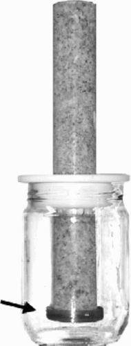 Figure 2. Fat separator consisting of a perpendicular Plexiglas cylinder filled with morsellized bone. Fat is drained by gravity through a stainless steel mesh at the bottom (arrow). To facilitate fat drainage by reducing viscosity, the separator was kept in an incubator (40°C).