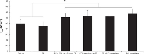 Figure 7 Average values of maximal strength force per square unit in N/mm2 (MPa) after 6 weeks.Note: *P<0.05.Abbreviations: σmax, average value of maximal strength force per square unit; PP, polypropylene; PCL, poly-ε-caprolactone; GF, growth factor.