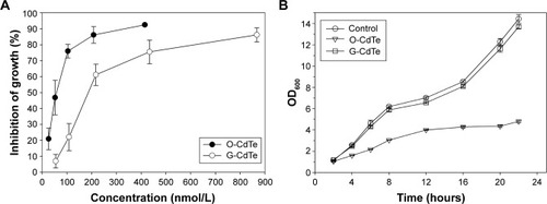 Figure 1 Toxicity of CdTe QDs of different sizes exposed on Saccharomyces cerevisiae.Notes: (A) Inhibitory curve of CdTe QDs exposed to S. cerevisiae BY4742 for 16 hours. (For O-CdTe QDs, concentrations were 25.94 nmol/L, 51.88 nmol/L, 103.75 nmol/L, 207.5 nmol/L, and 415 nmol/L. For G-CdTe QDs, concentrations were 54.2 nmol/L, 108.4 nmol/L, 216.8 nmol/L, 433.6 nmol/L, and 867.2 nmol/L.) The inhibitory rate was evaluated using colony-forming units. (B) Effect of 50 nmol/L CdTe QDs on cell growth in S. cerevisiae. The results are expressed as mean ± standard deviation, n≥3.Abbreviations: CdTe QDs, cadmium telluride quantum dots; G-CdTe, green-emitting CdTe; O-CdTe, orange-emitting CdTe; OD, optical density.