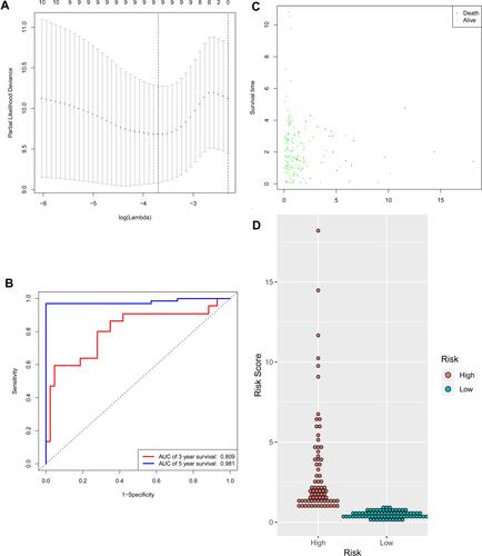 Figure 6 Identification of the signature significantly associated with the survival of patients with CRC in the training group. (A) LASSO Cox regression algorithm was used to reduce the scope. (B) Time-dependent ROC curves analysis. (C and D) Risk score distribution and survival status for patients in high- and low-risk groups by the signature. LASSO, least absolute shrinkage and selection operator; ROC, receiver operating characteristic.