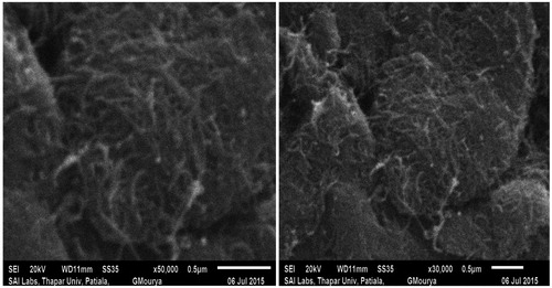 Figure 4. SEM images of DOX/PEG-FA- MWCNTs shown at 50,000 × and 30,000 × magnification.
