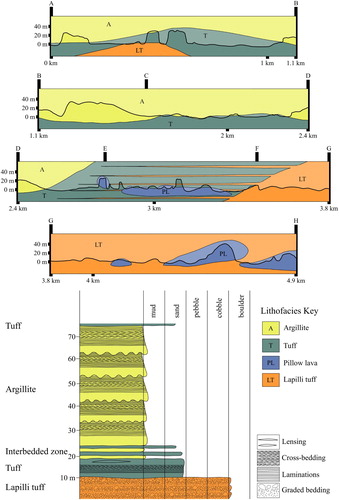 Figure 3. A, Cross-section along the coast, showing lateral relationships among lithofacies. This section is vertically exaggerated (×2) so relationships can be better seen. The strips of lapilli tuff in section E–F are a schematic representation of lapilli tuff filling channels in tuff (see text). Argillite and tuff are in part interbedded (not illustrated). B, Logged stratigraphic section of the western side of the sequence (that represented in the Western GVS of Figure 2).
