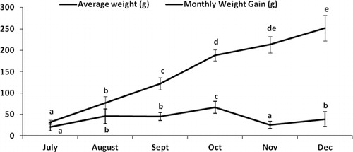 Figure 1. Monthly AW and weight gain of Asian sea bass during 6 months growth-out period. Different letters indicate significant differences (P < 0.05).