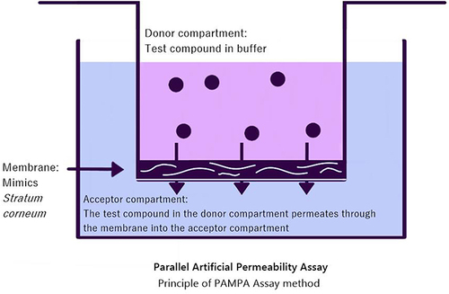 Figure 1 Schematic image of a single PAMPA permeation compartment showing the donor and acceptor sites and the lipophilic membrane designed to mimic the human stratum corneum.