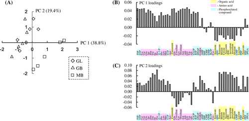 Fig. 3. Principal component analysis of metabolite contents in fruiting bodies of Gf433 and Mori52.