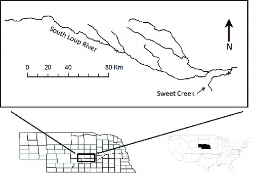 Figure 1. Prairie streams in the Loup River Basin, NE, which were sampled during 2011 and 2012 to describe movement behaviors and habitat use of introduced plains topminnow. The 3000-m sampling reaches (X) were sampled monthly to describe movement behaviors after reintroduction.