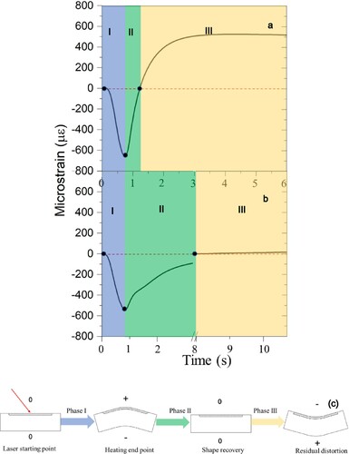 Figure 5. Enlarged distortion behaviour curves of single scanning process: on sample with a powder layer on top (a), on sample surface without powder (b), distortion behaviour in different phases (c).