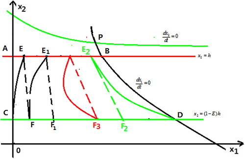 Figure 3. The existence of order-1 periodic solution of system (Equation3(3) {dx1dt=(μ1(δS0−x1−x2)−Q~)x1+ρ(x2−x1),dx2dt=(μ2(δS0−x1−x2)−Q~)x2+ρ(x1−x2),}x2<h,Δx1=τ,Δx2=−θx2,}x2=h.(3) ) for x2<x2∗.