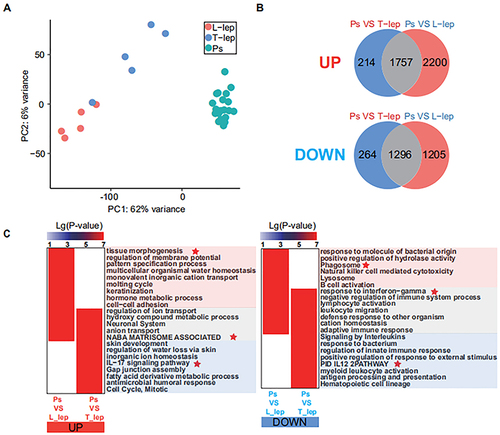 Figure 1 Differential distribution of Ps, T-lep and L-lep.